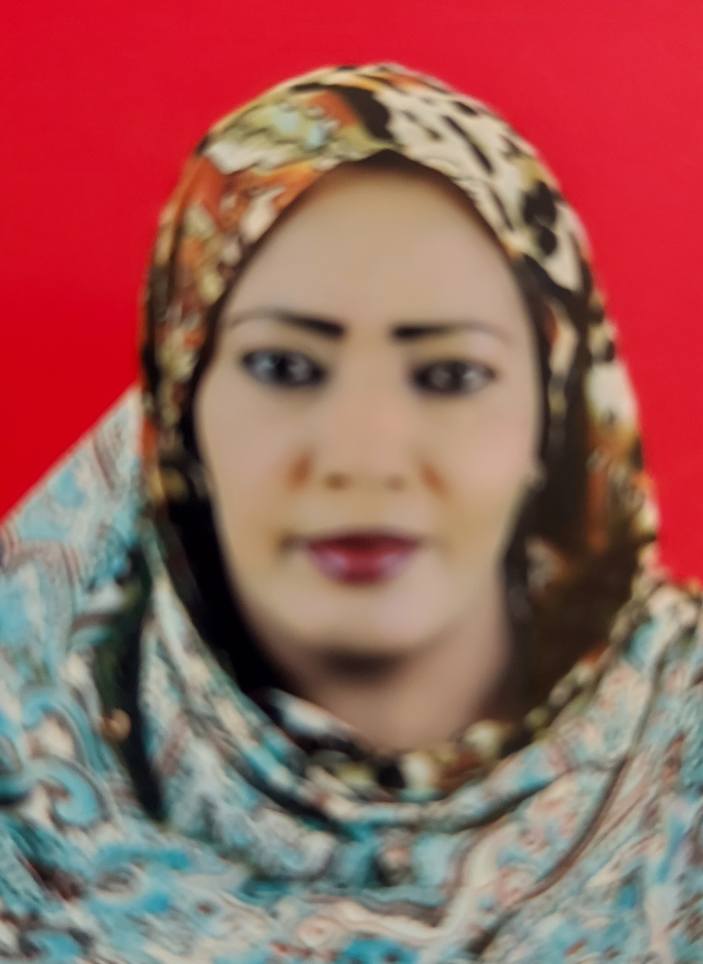 المستشارة الدكتورة: فايزة علي محمد الزين