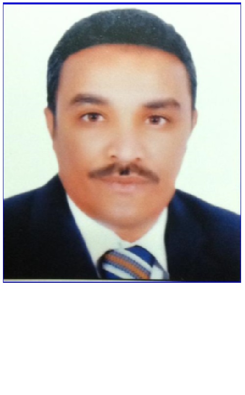 ابراهيم يوسف محمود